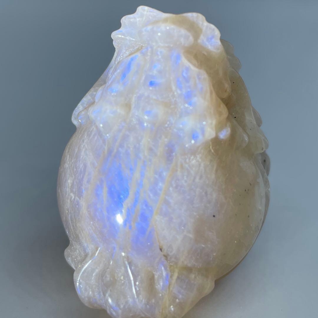 超高品質 希少！ブルーシラーを持つ オレンジ ムーンストーン　ロングイ　龍亀