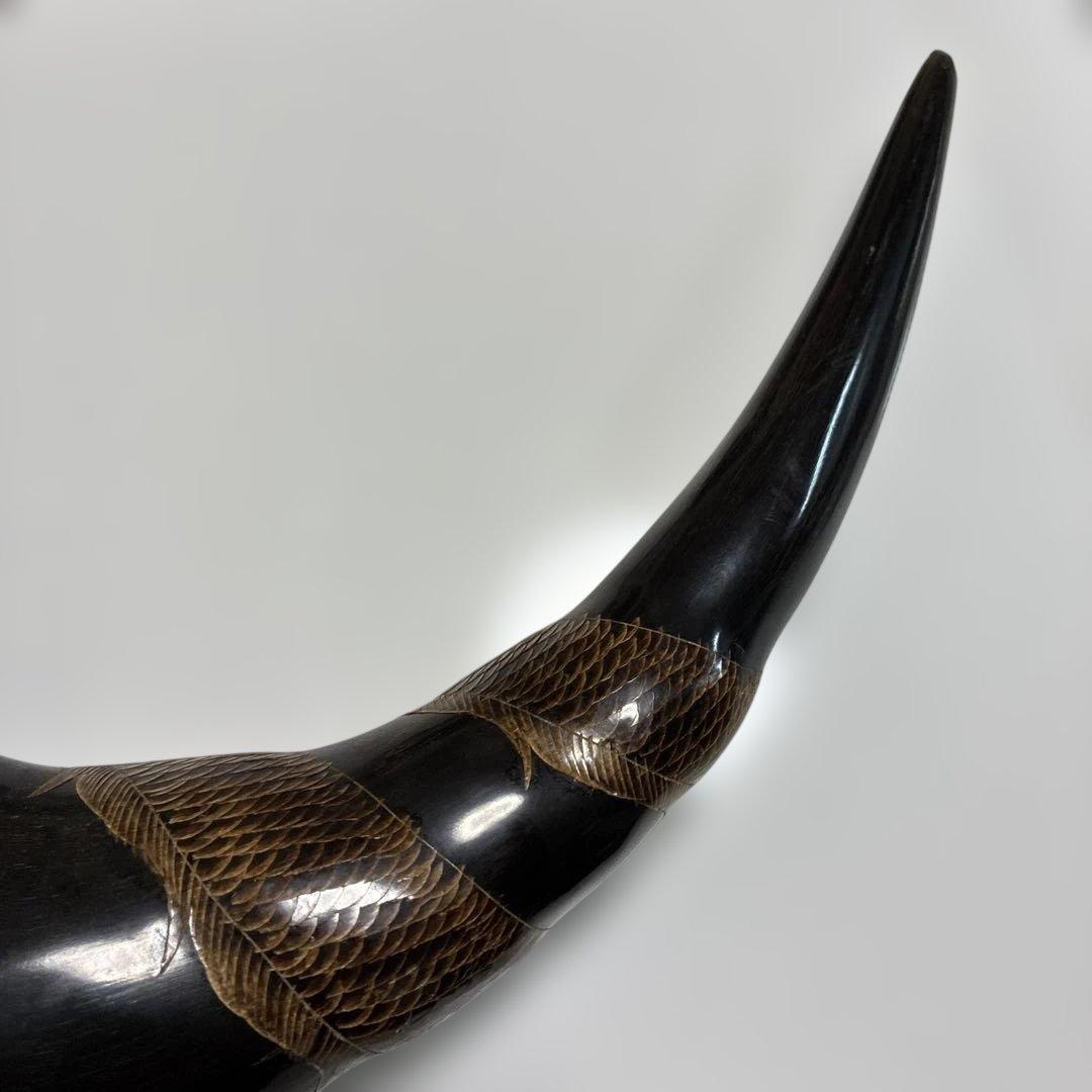 水牛のツノ