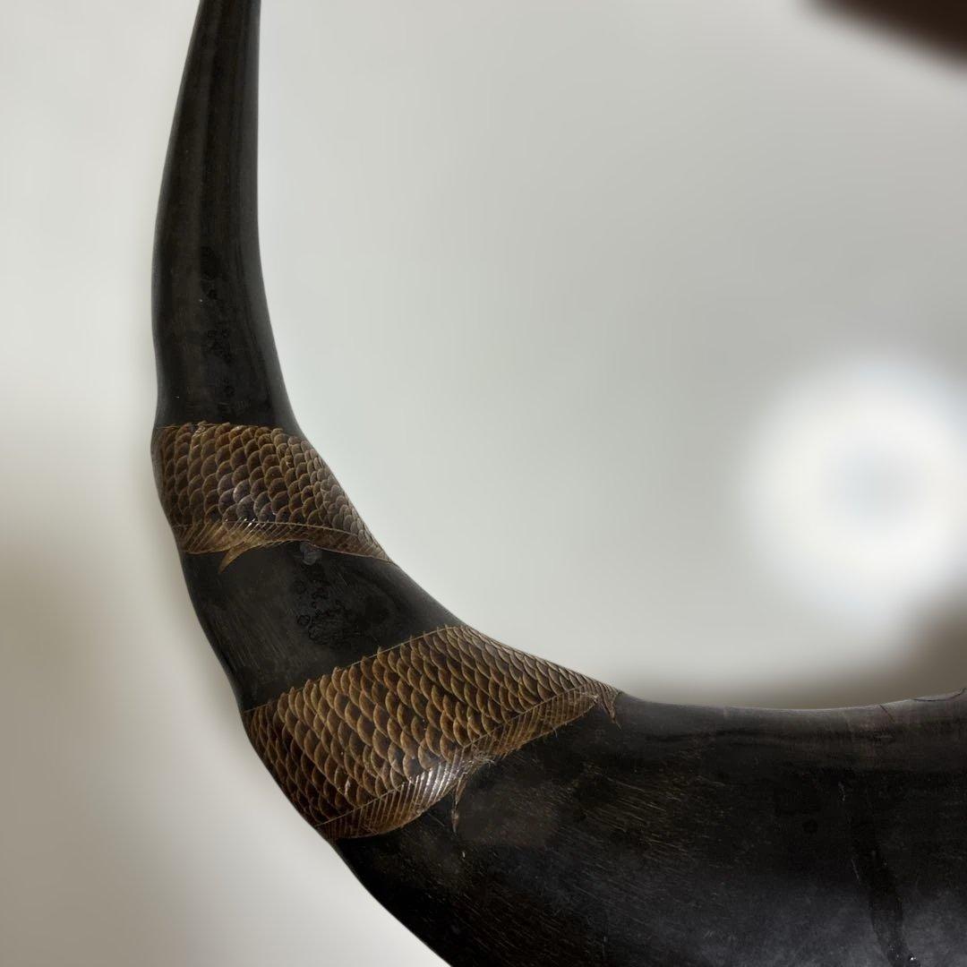 水牛のツノ