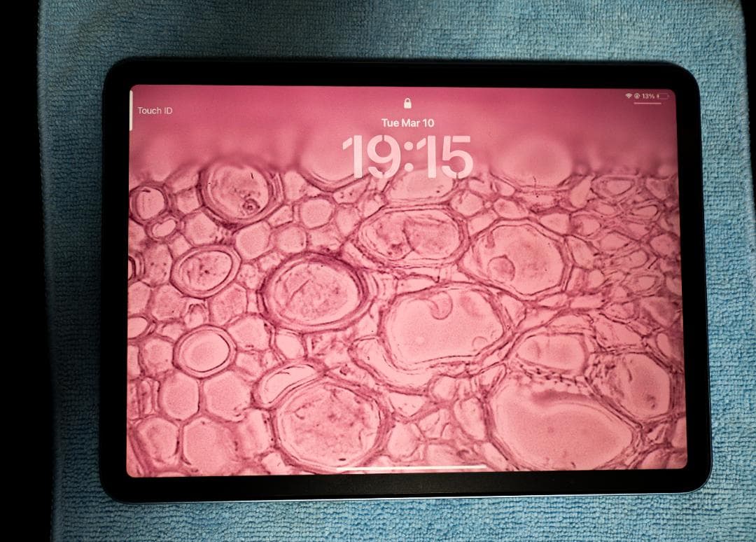 Apple iPad Air 第5世代 M1チップ ブル64GB