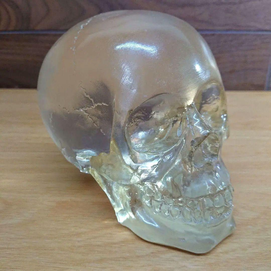 スカル オブジェ 骸骨 置物 透明