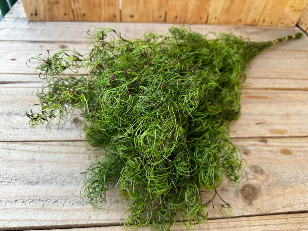 はるまま様 リクエスト 2点 まとめ商品