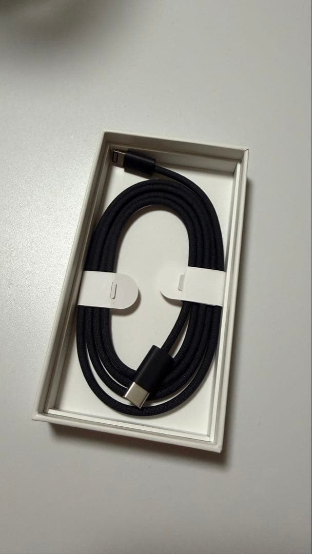 Apple Magic Mouse - Black 本体