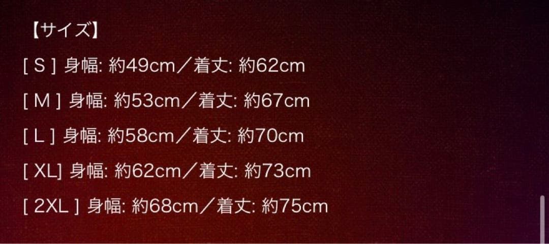 稲葉浩志 en-Zepp Day 3 Tシャツ 2XL ハンドタオル 新品未使用