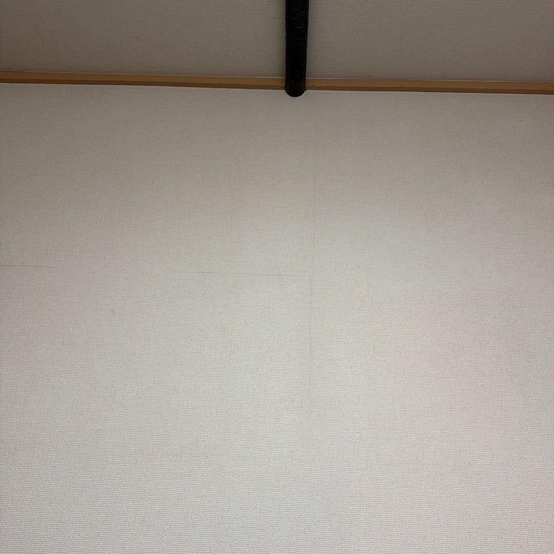 【ドット抜けなど不具合無し】popIn Aladdin（初代）プロジェクター本体