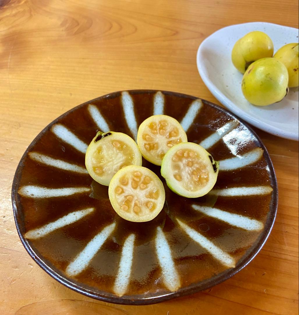 イエローグアバ　7号