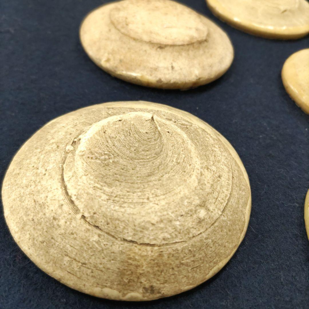 古瀬戸　油皿　5枚　D313