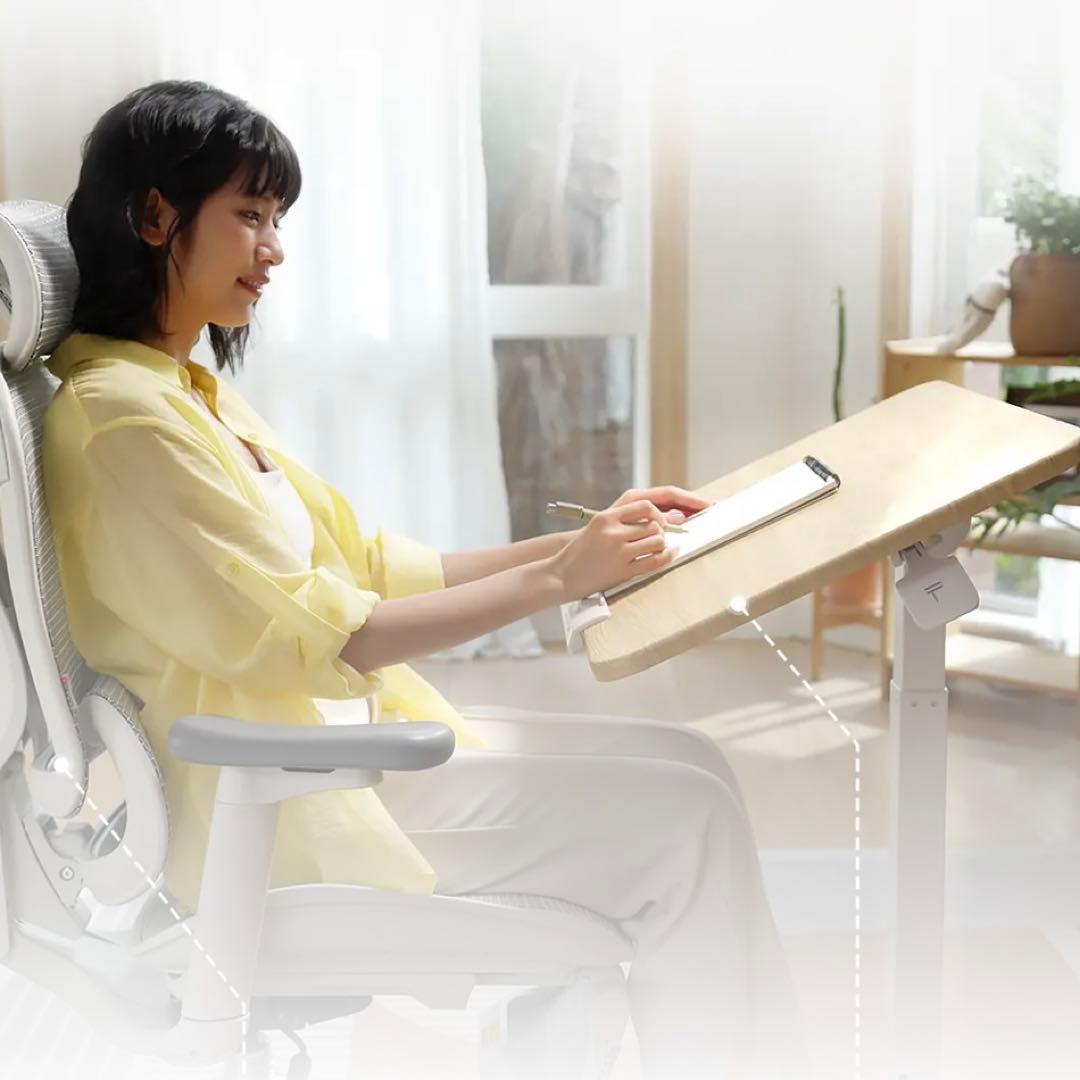 未使用級✨️SIHOO 昇降式デスクD02 天板傾斜調整 キャスター付