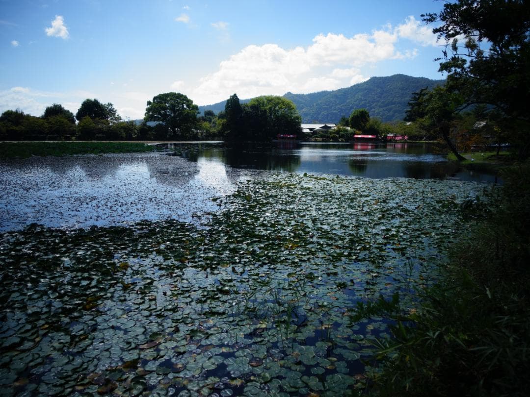 【中古】SONY rx100 m3　動作品　純正グリップ装着　作例あり