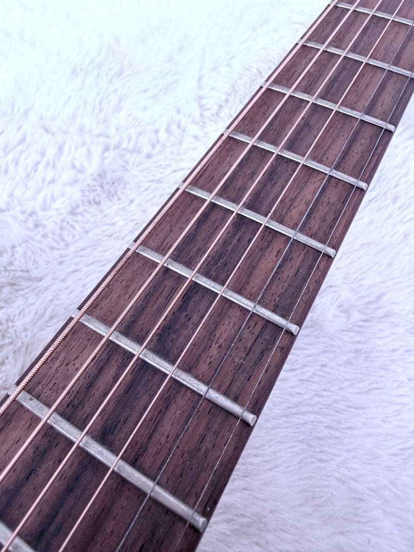 超美品♪エレアコ DCT Japan X-310CE Fishman搭載付属多数