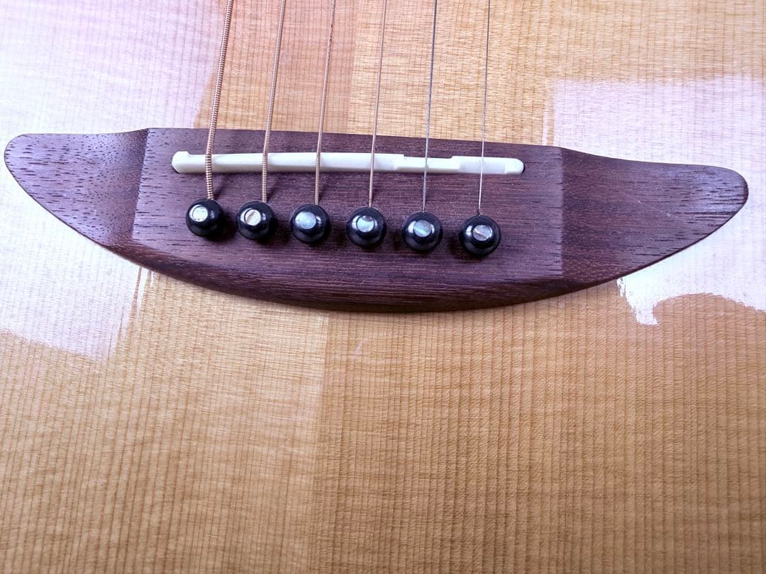 超美品♪エレアコ DCT Japan X-310CE Fishman搭載付属多数