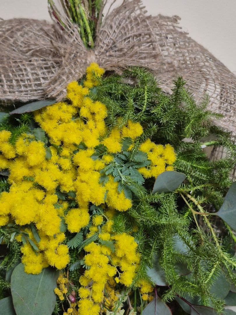 ミモザとポポラスユーカリのスワッグ 2個セット♡