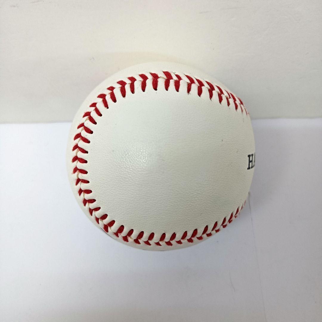 298.阪神タイガース　金本知憲　＃6　サインボール　2個セット