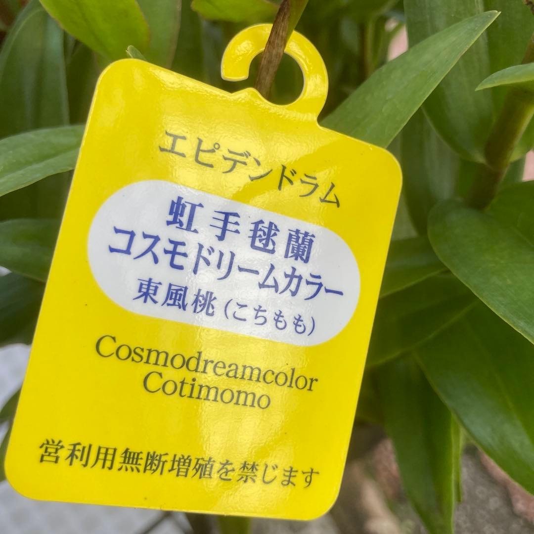 ☆ジュン☆