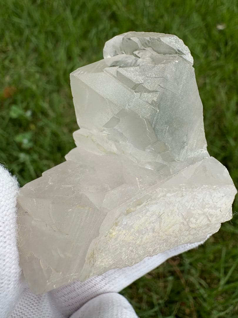 【匿名発送】パキスタン産グインデル