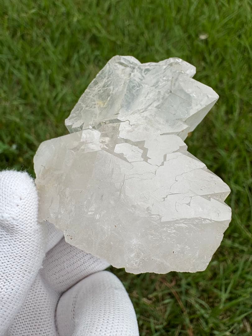 【匿名発送】パキスタン産グインデル