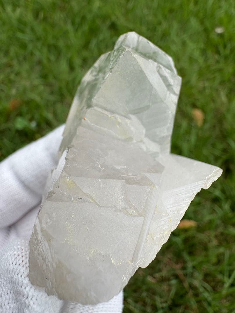 【匿名発送】パキスタン産グインデル