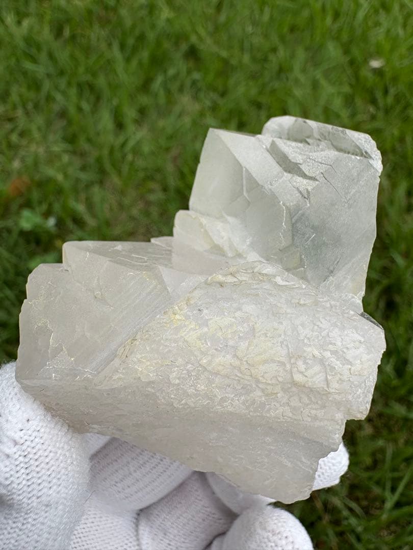 【匿名発送】パキスタン産グインデル