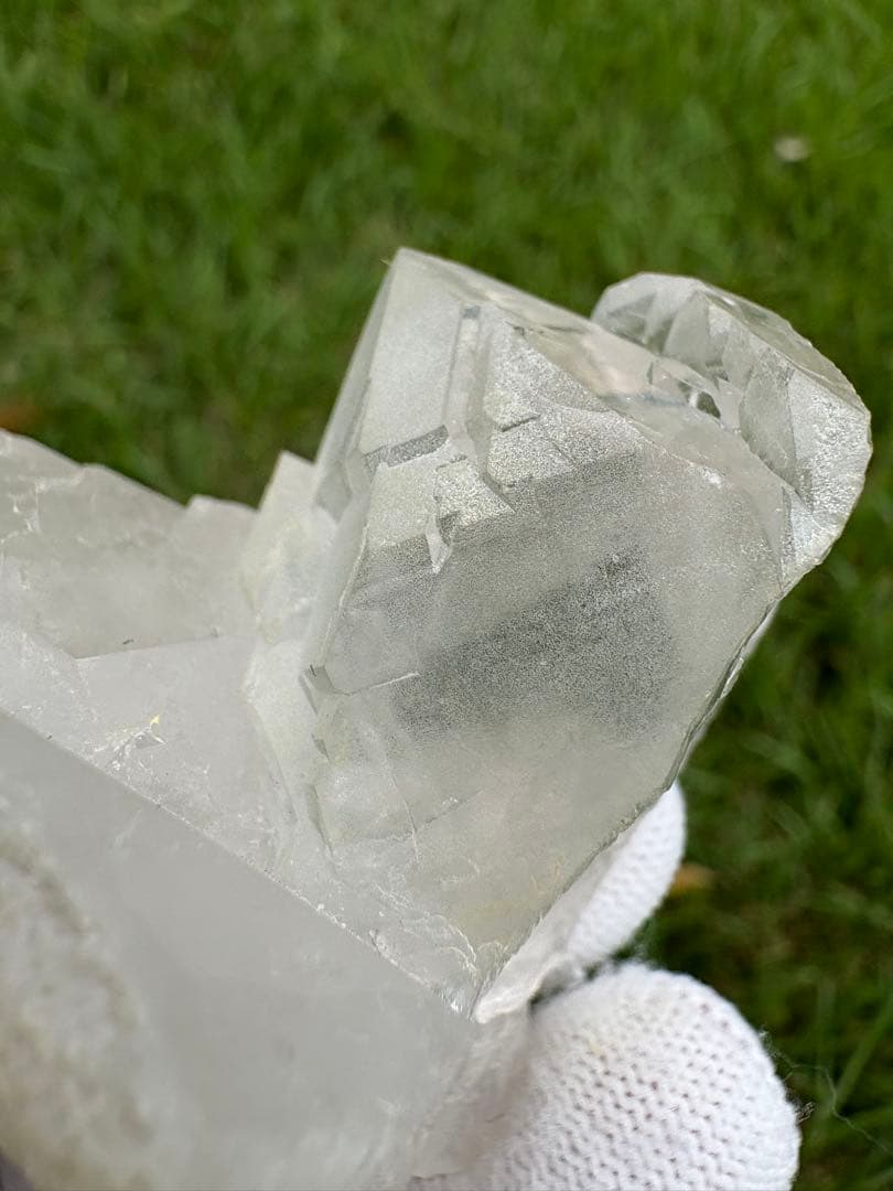 【匿名発送】パキスタン産グインデル