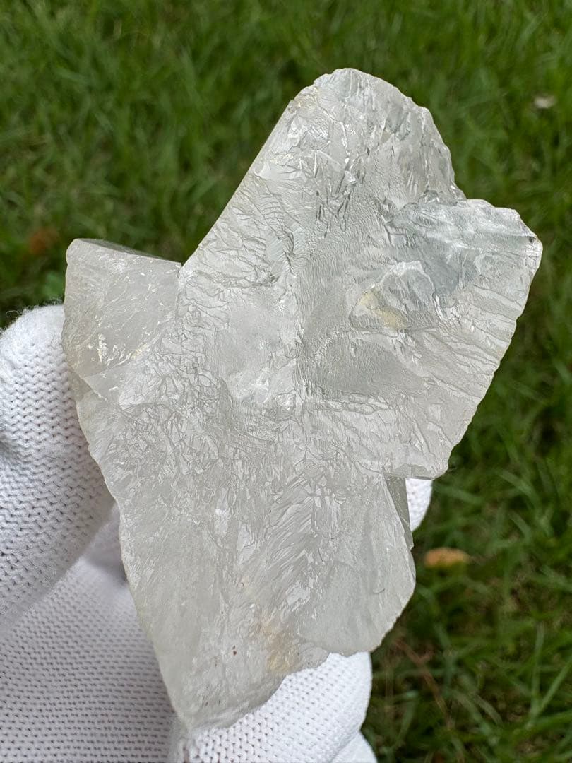 【匿名発送】パキスタン産グインデル