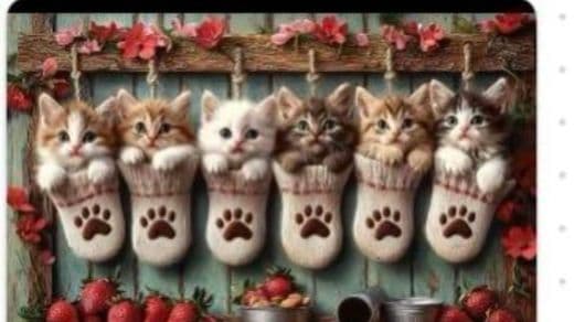 靴下に入ったねこパネル生地　ハンドメイド