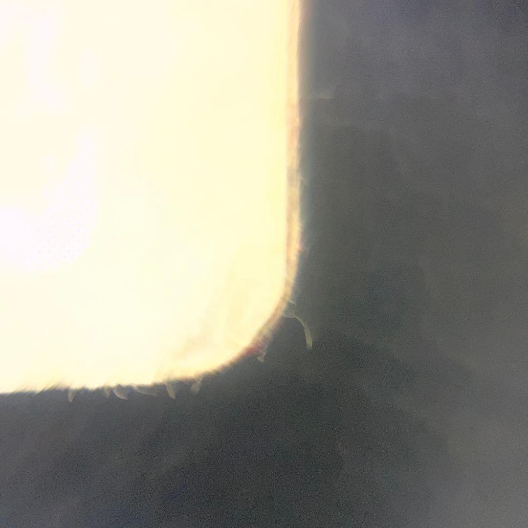 フシギバナ No.003 トレーディングカード