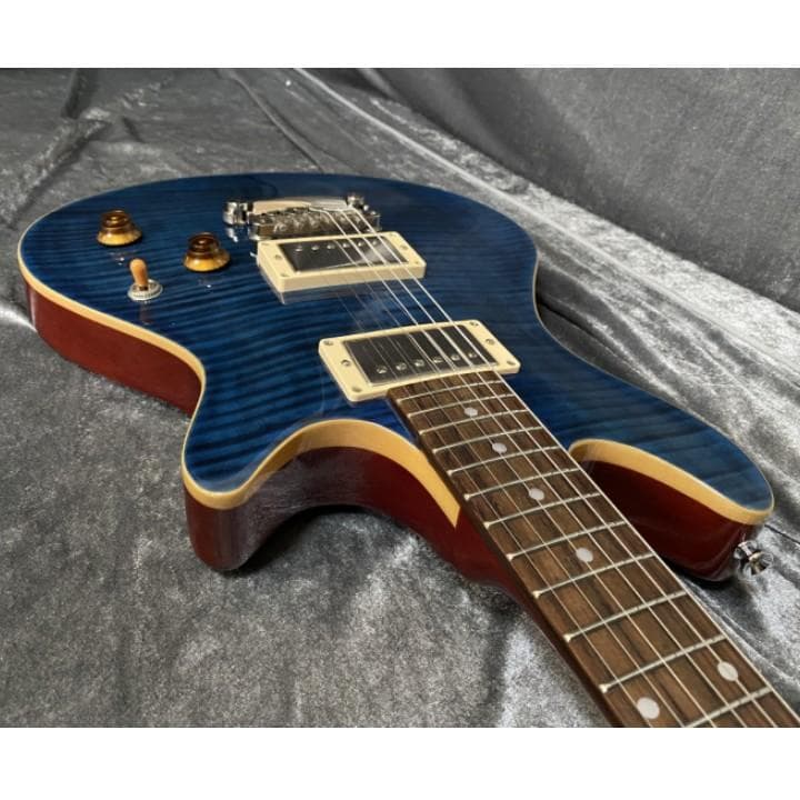 EDWARDS E-PO-100D Seymour Duncan PU搭載