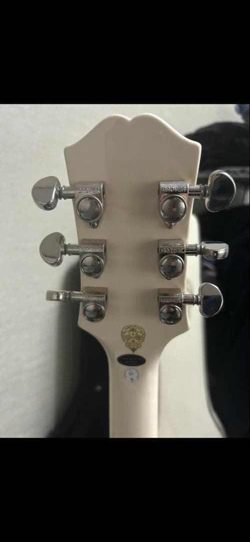 Epiphone355 生形真一