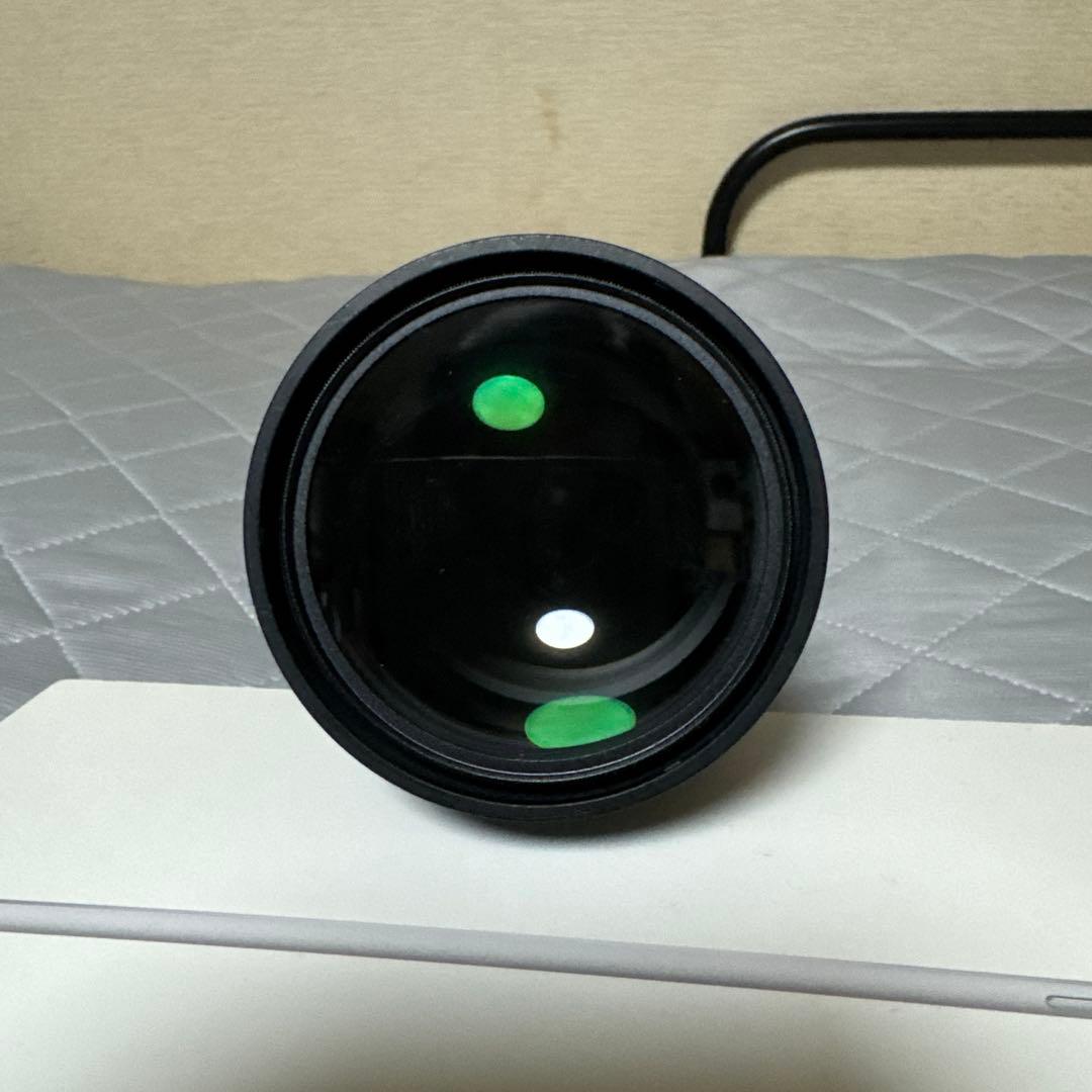 Nikon AF-S 300m F4 D ED 単焦点レンズ