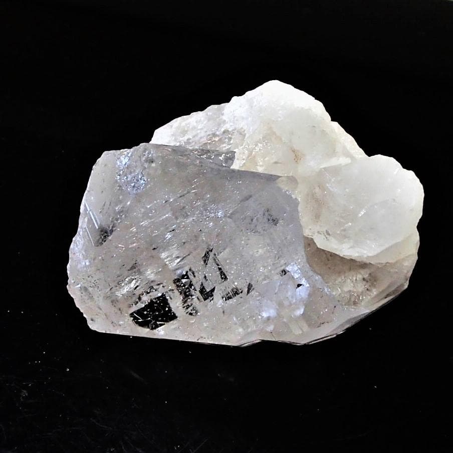 値下しました！ティップリン産ポイント-167-1