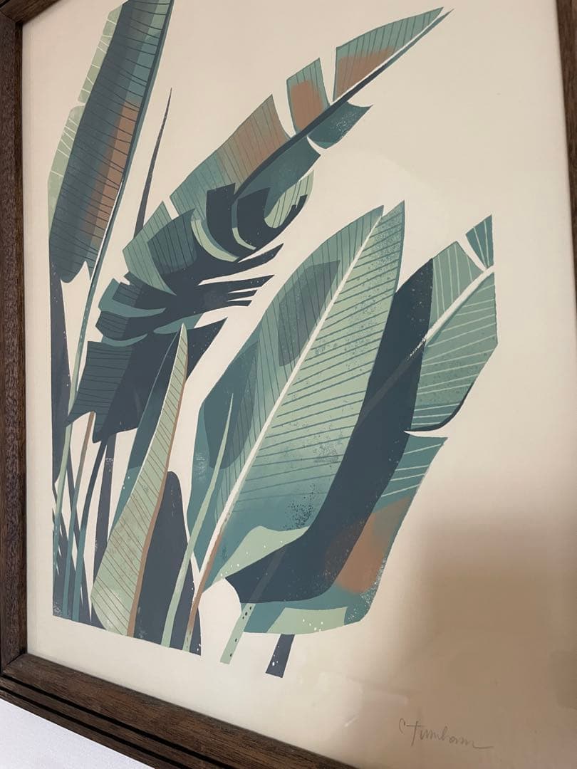 植物アート フレーム付き アクメファニチャー acme furniture