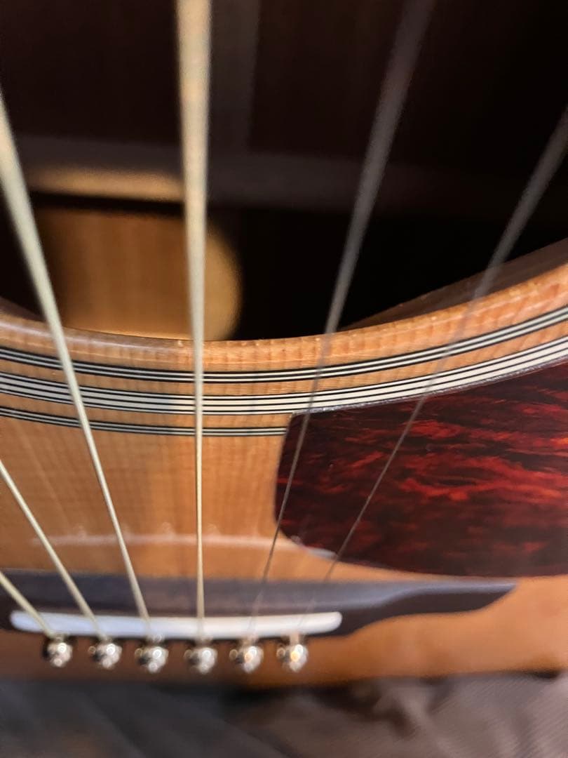 オール単板！ARIA ADW-65LTD アコースティックギター 中古