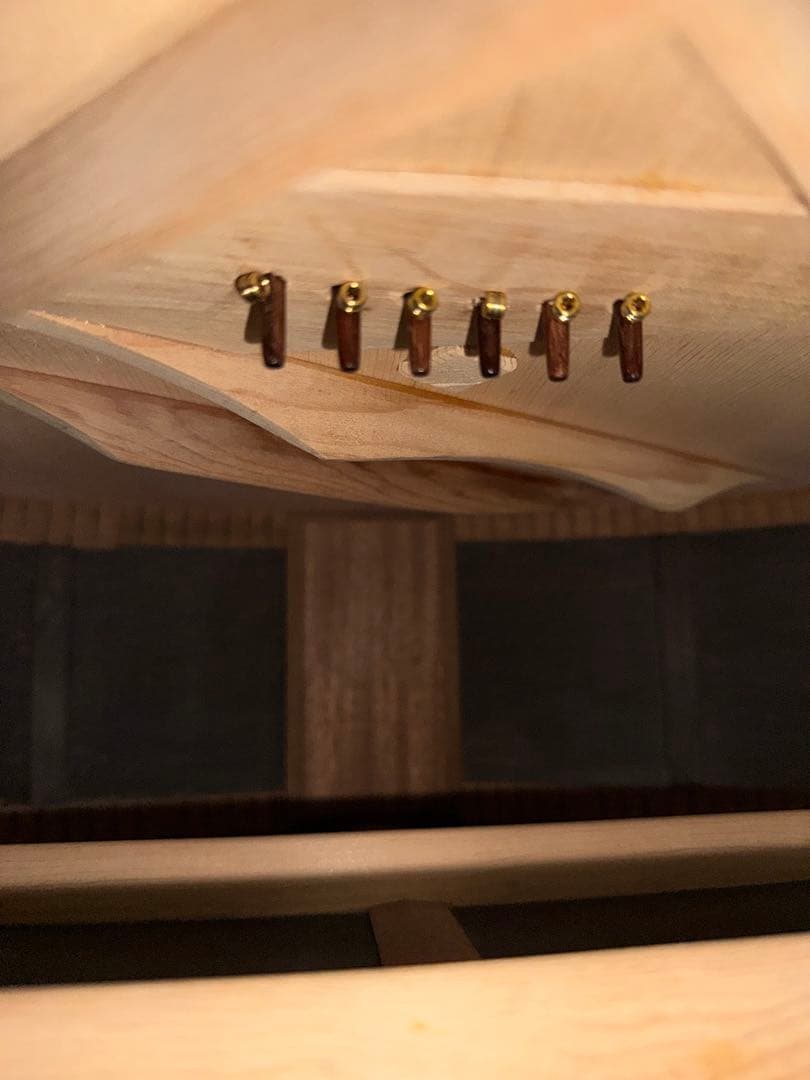 最終値下げ！激安tupli argoハンドメイドハードケース付