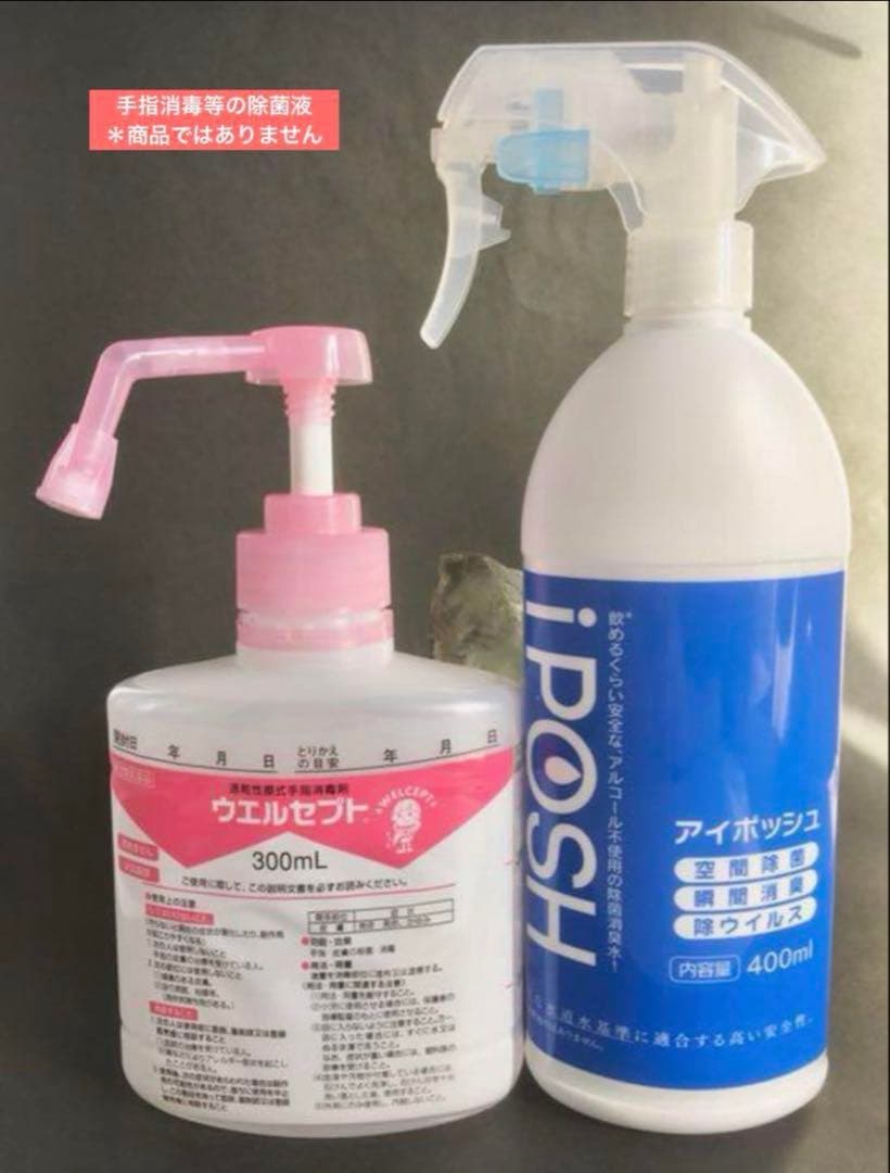 【神水浄化済み！】　黒朱砂　水蓮花天珠　単品