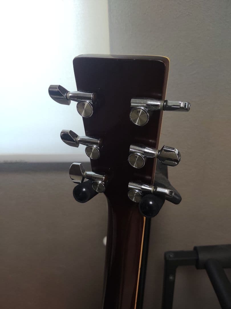 信濃Shinano　アコギ