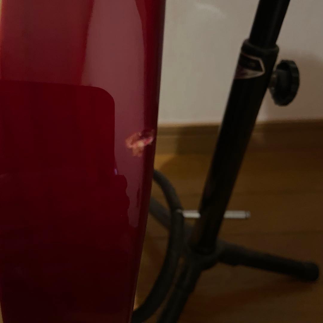 Burny SRLG-55 VLD レスポールタイプ トラ目