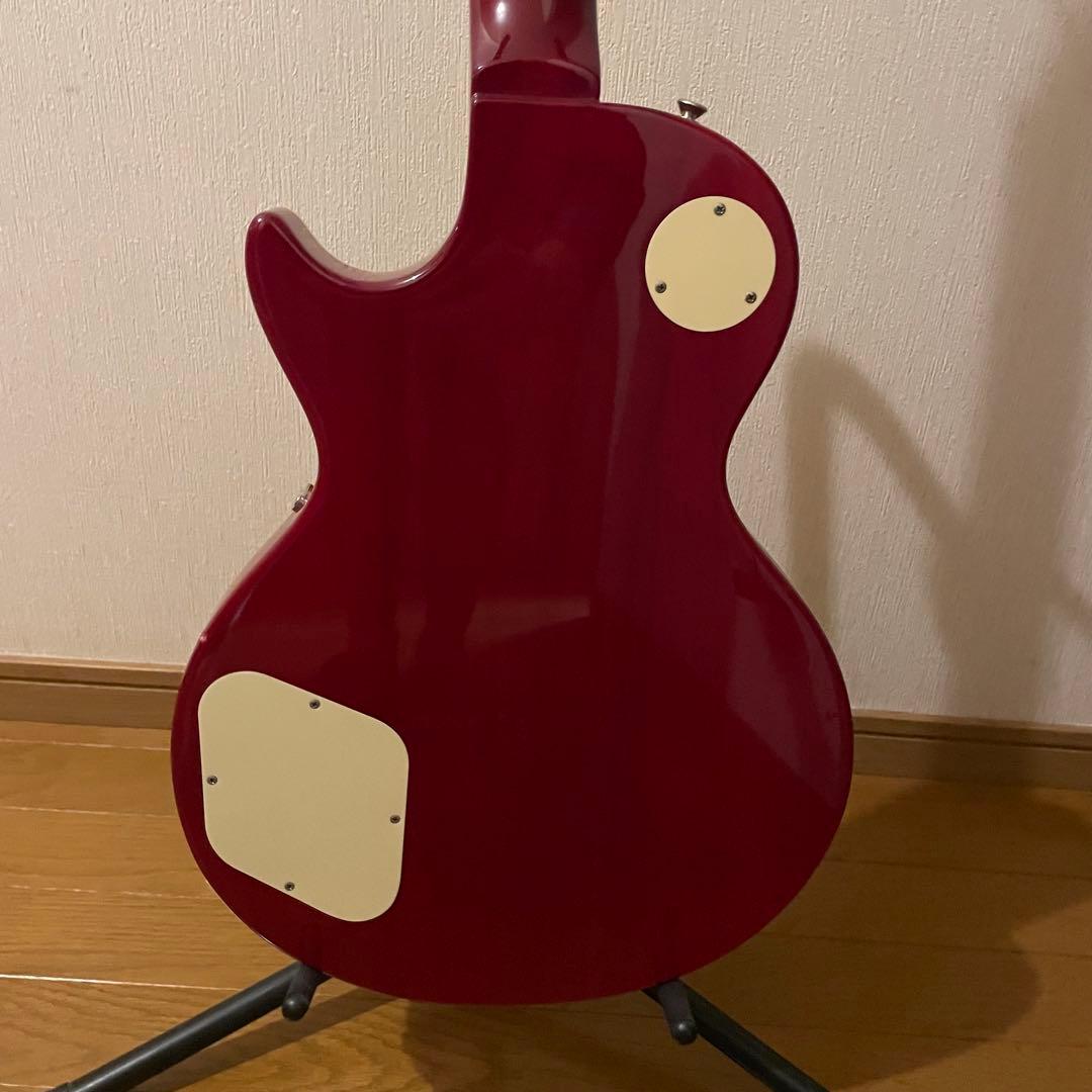 Burny SRLG-55 VLD レスポールタイプ トラ目