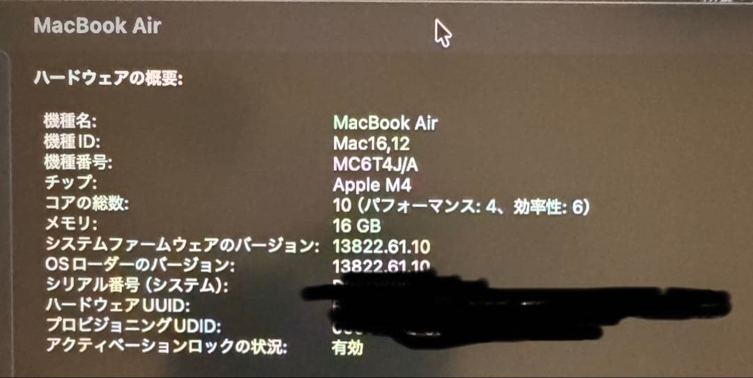 ほぼ未使用　13インチMacBook Air M4 16GB 256GB SSD