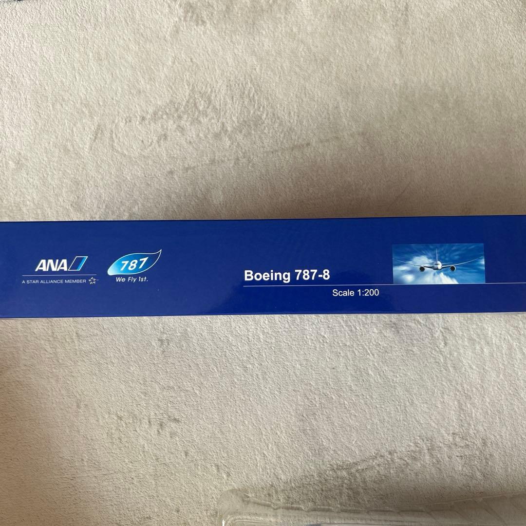 ANA787 プラモデル
