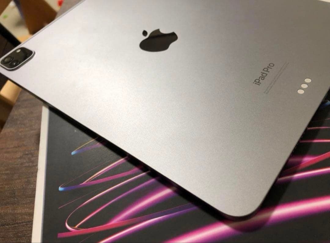 iPad Pro 11 inch M2 第4世代256g 訳あり