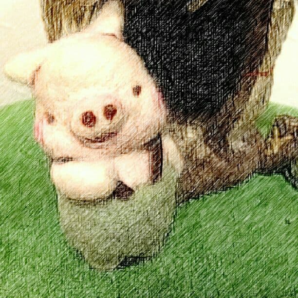 売り切れました。オーダー受付ます羊毛フェルト(☆∀☆)ダメ長男藁の家を造る！