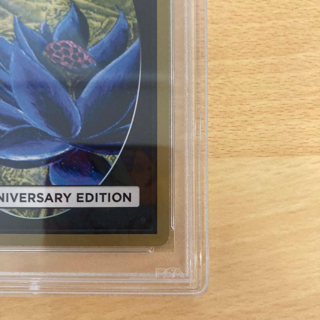 PSA10 旧枠 Demonic hordes MTG 30th edition