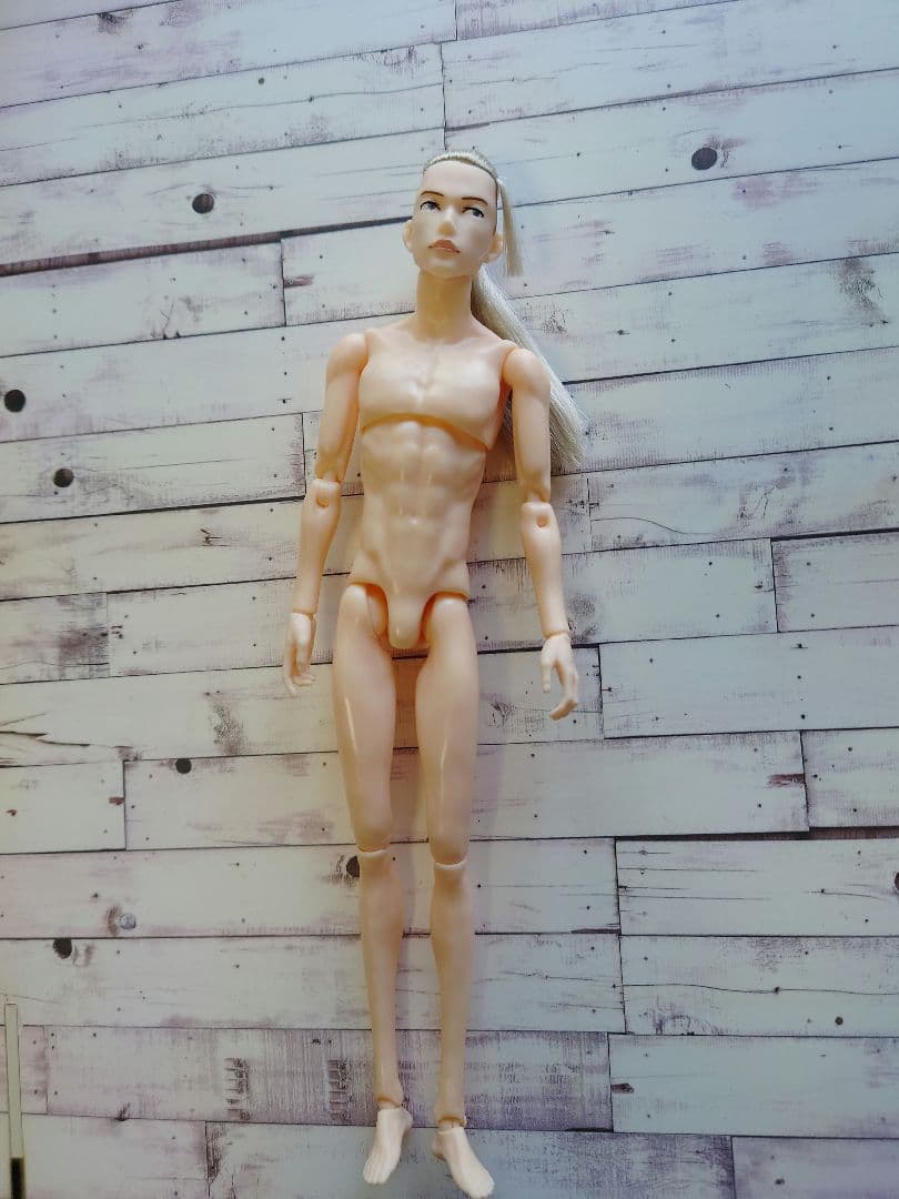 六分の一男子図鑑　ナイン　本体のみ