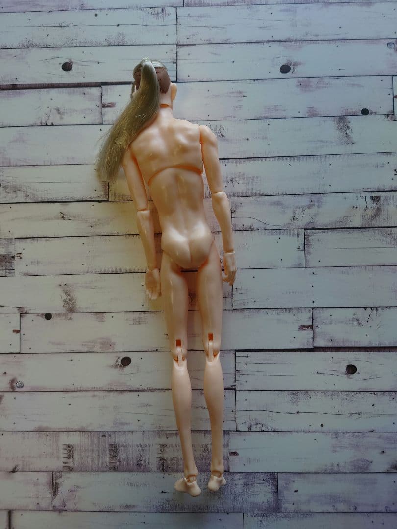 六分の一男子図鑑　ナイン　本体のみ