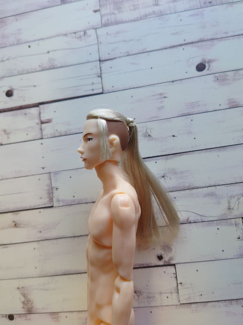 六分の一男子図鑑　ナイン　本体のみ