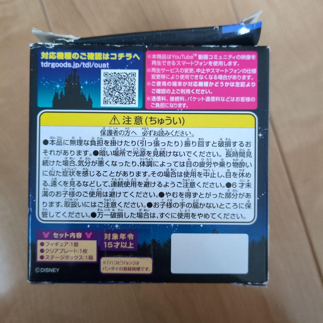 東京ディズニーランド Once Upon a Time 　ハコビジョン