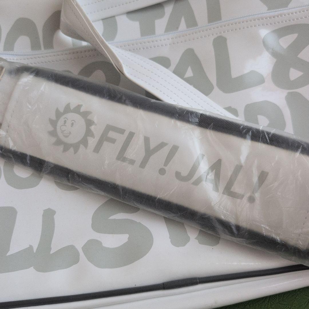 2003JAL & SOUTHERN ALL STARS バッグ