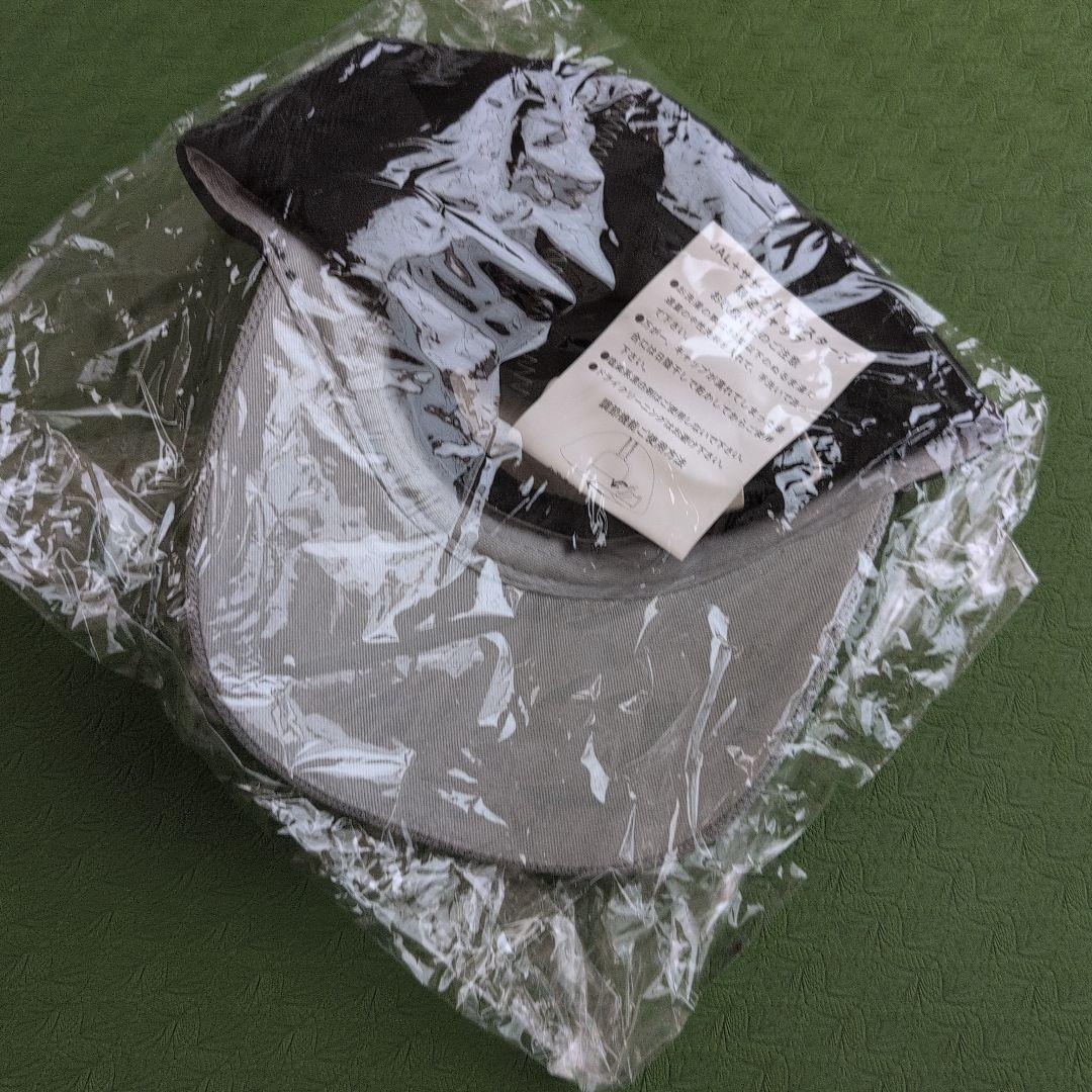 2003JAL & SOUTHERN ALL STARS バッグ