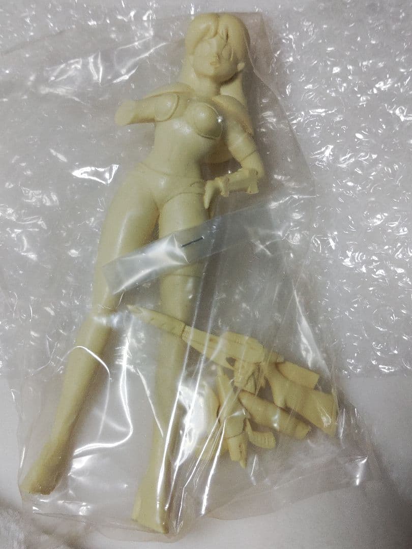 ガレージキット　S60 WF 1/8スペースサバイバル ラム。