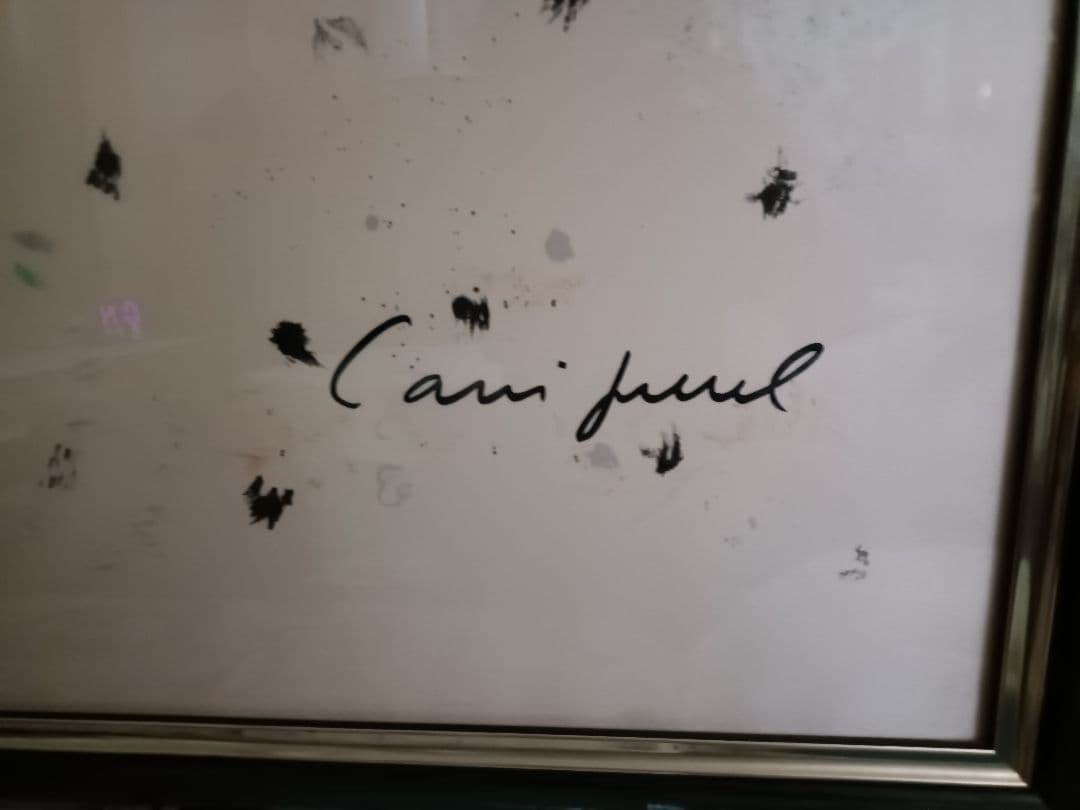 【ジャン・ピェール・カシニョール】黒い帽子の婦人　技法　スカーフ